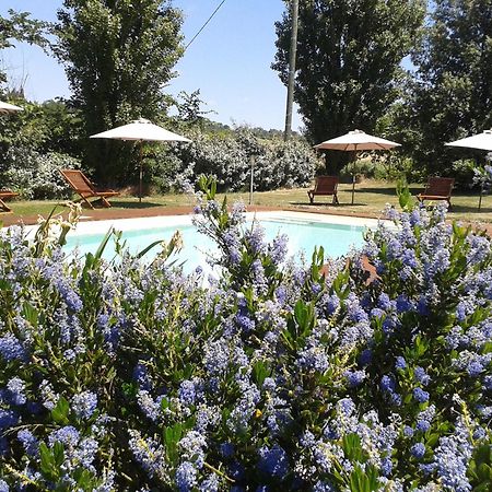 B&B La Ferme De Loubens Bagian luar foto