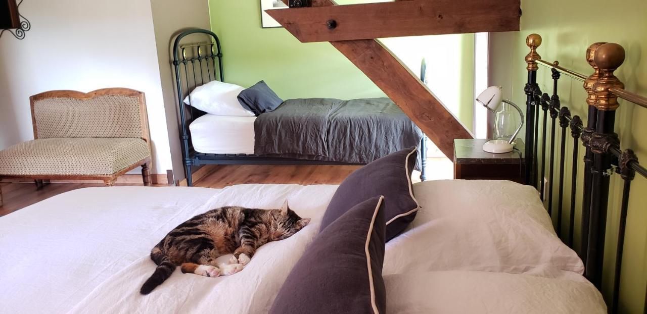 B&B La Ferme De Loubens Bagian luar foto