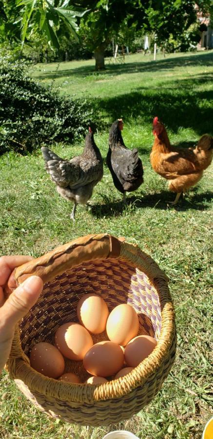 B&B La Ferme De Loubens Bagian luar foto
