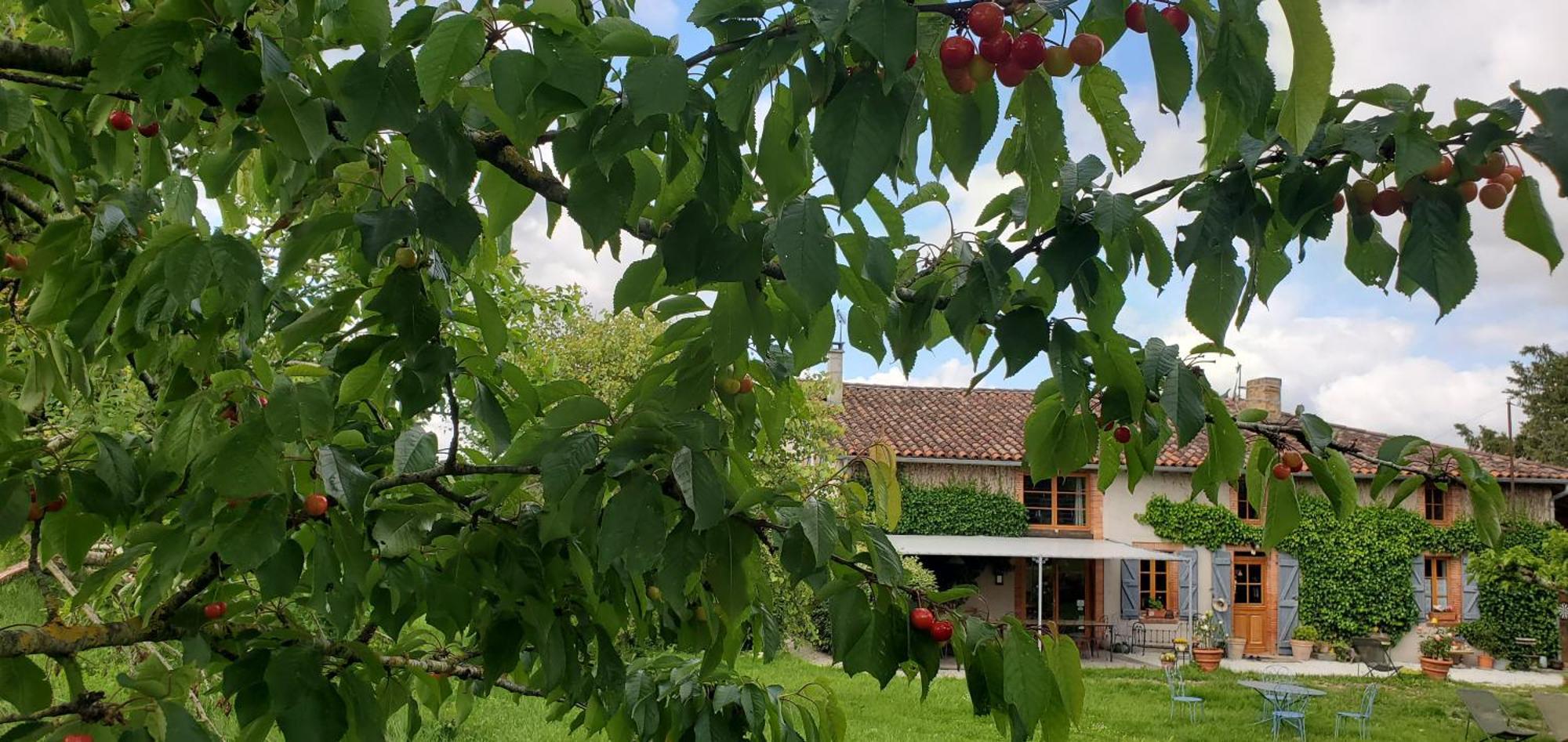B&B La Ferme De Loubens Bagian luar foto